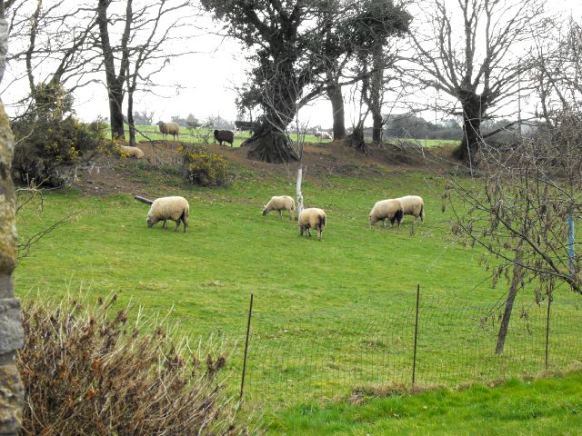 La ferme de l'Etang