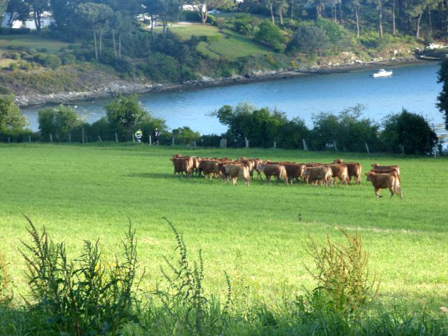 Le Paluden (Arradon)